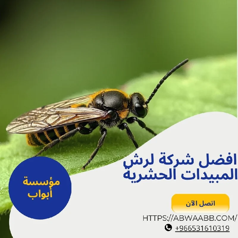 افضل شركة مكافحة حشرات