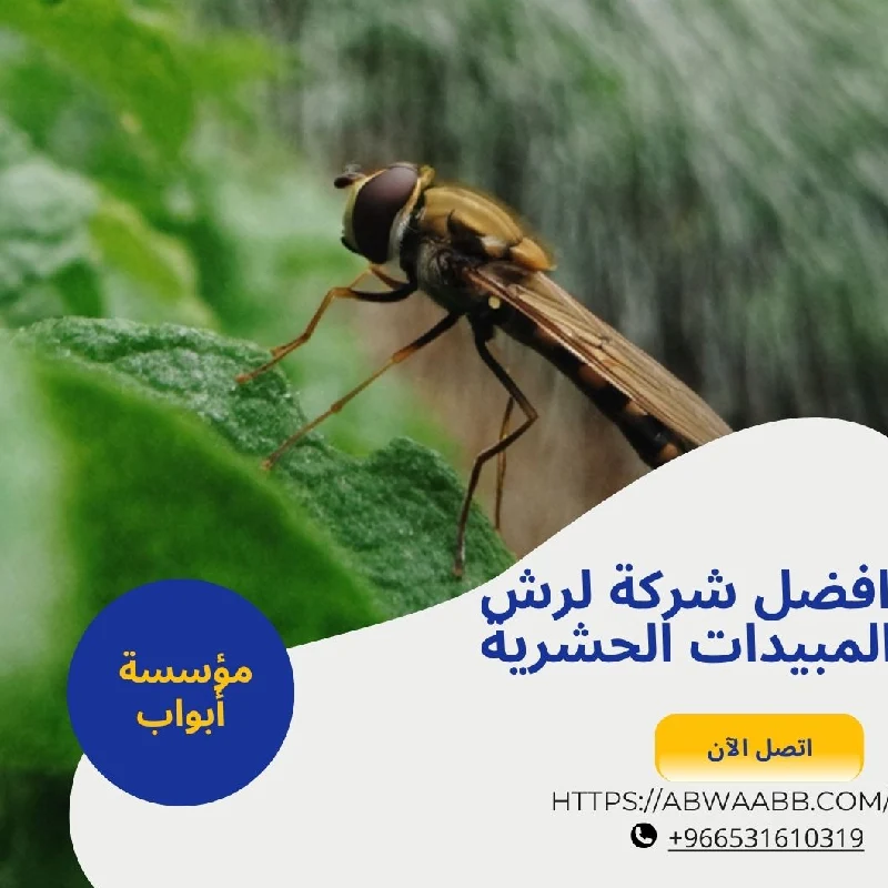 افضل شركة مكافحة حشرات