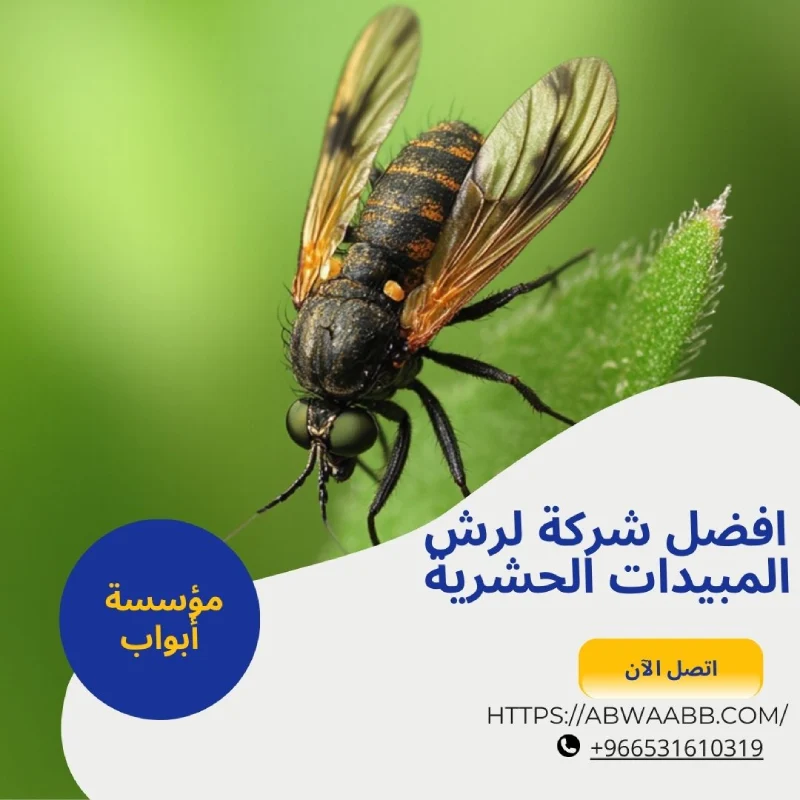 افضل شركة مكافحة حشرات