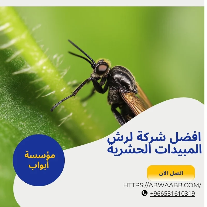 افضل شركة مكافحة حشرات