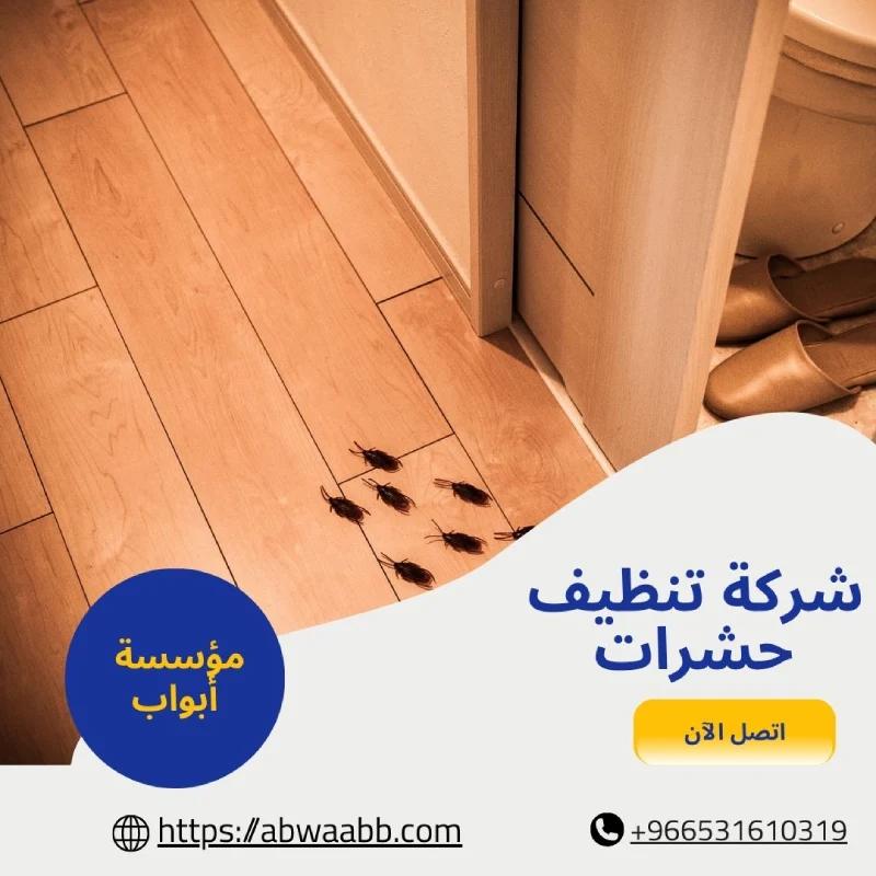 شركة تنظيف حشرات
