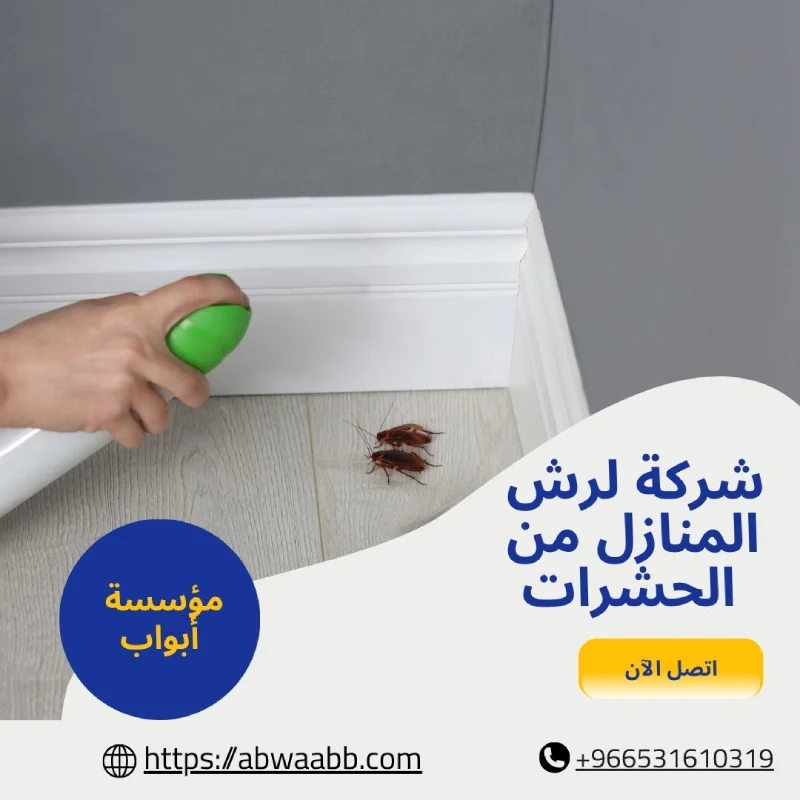 شركة لرش المنازل من الحشرات