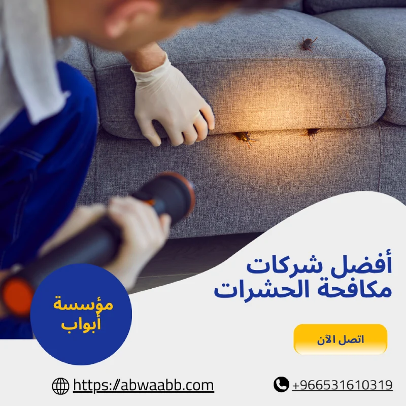 أفضل شركات مكافحة الحشرات