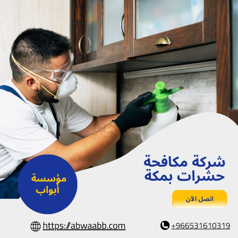 شركة مكافحة حشرات بمكة